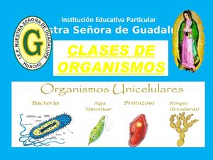 Clases De Organismos