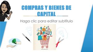 Compras Y Bienes De Capital