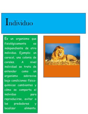 Revista De Ciencias
