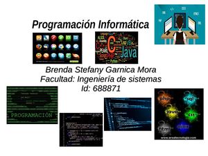 Programación Informática