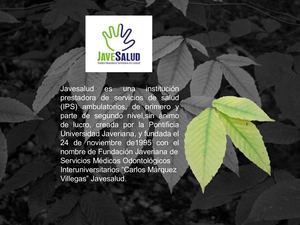 Javesalud