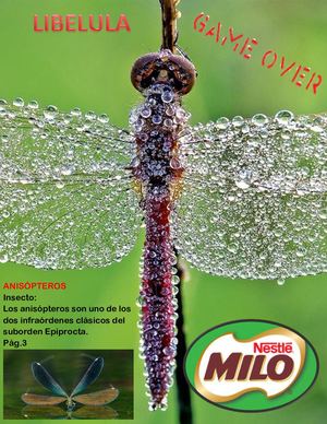 Libelulas Pro