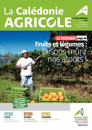 LCA n°163 - Octobre/Novembre 2018