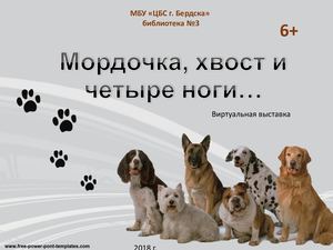 Мордочка, хвост и четыре ноги...