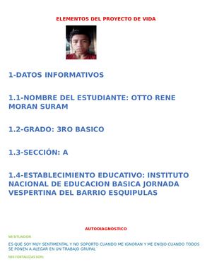 Elementos Del Proyecto De Vida