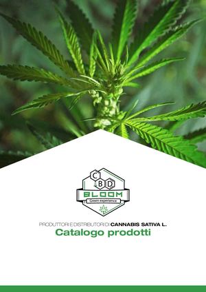 Cbd Bloom Catalogo