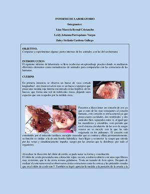 Informe De Laboratorio Biologia