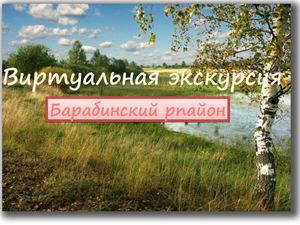 Барабинский район