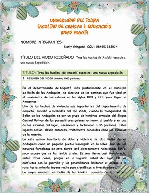 Rae T5 Impacto Ambiental