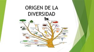 Origen De La Diversidad