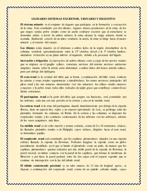 Glosario Sistemas Excretor
