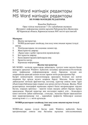 Текстовый редактор Ms Word