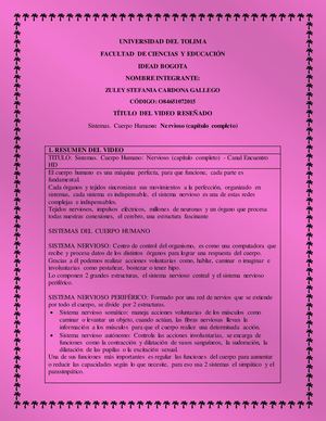 sistemas. Cuerpo Humano: Nervioso