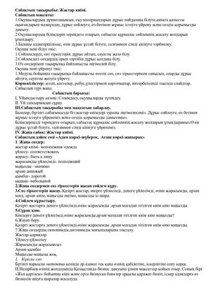 Открытый урок