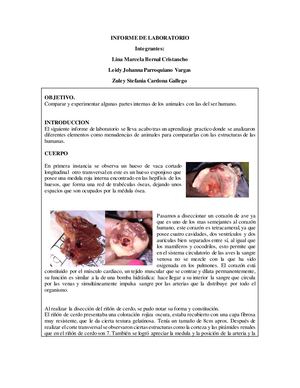 Informe De Laboratorio Biologia