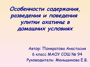 УЛИТКА АХАТИНА