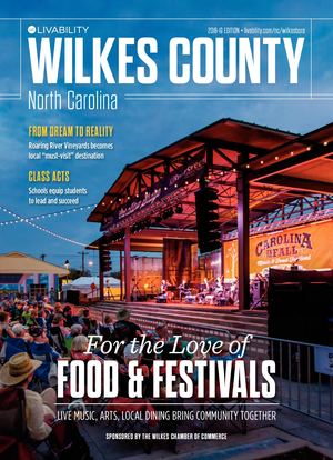 Livability: Wilkes County 2018-19