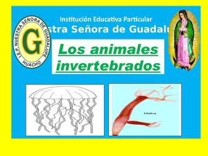 Los Animales Invertebrados