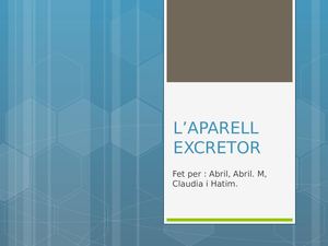 L’aparell Excretor