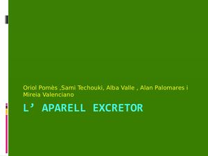 L’ Aparell Excretor