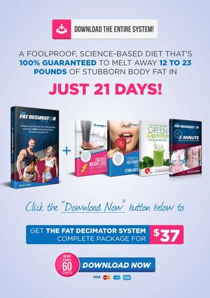 The Fat Decimator System The Fat Decimator System