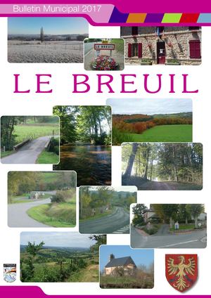 Bulletin Municipal 2017