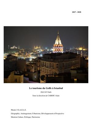 Fatih Olcay - Le tourisme du Golfe à Istanbul