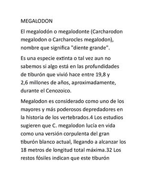 Megalodon