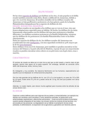 el delfin rosado