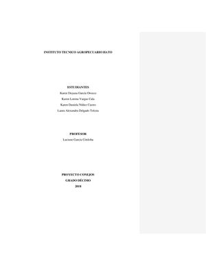 Proyecto Conejos (5)