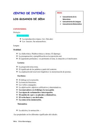 Centro De Interes El Gusano De Seda