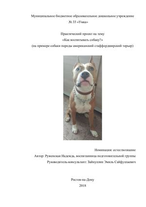 Практический проект Как воспитать собаку (2)