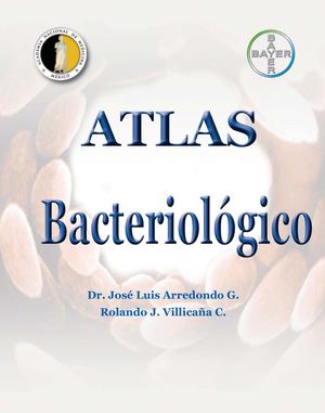 Atlas Bacteriologico Bayer
