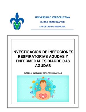 Investigación Edas E Iras