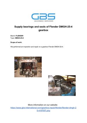 Supply Bearings And Seals Of Flender DMGH 25 4 Gearbox