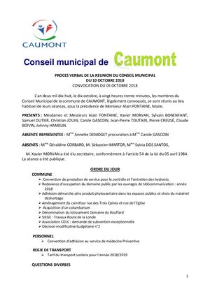 181010 PV Conseil Municipal