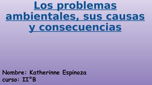 Los Problemas Ambientales, Sus Causas Y Consecuencias