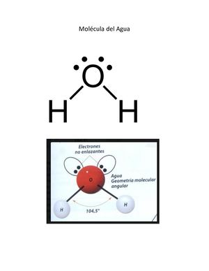 Hibridación Del Carbono