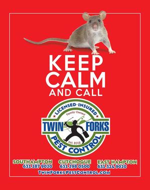 Dan's Papers November 2, 2018 Issue 1