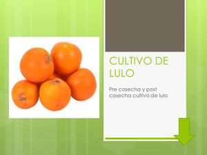 Manual De Poscosecha (1)