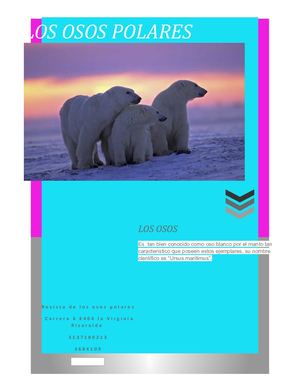 Calaméo Revista Los Osos Polares
