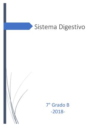 Sistema Digestivo