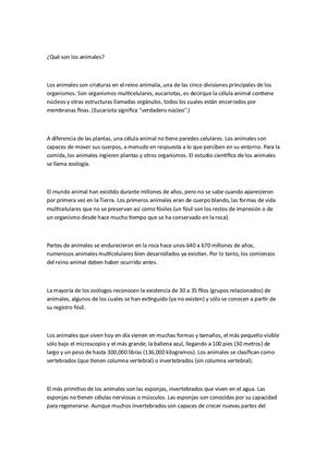 Qué Son Los Animales
