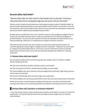 Domain Nedir, Alan Adı Uzantı ve Anlamları Nelerdir?