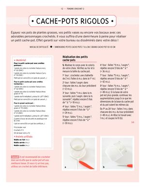 Extrait : modèle Cache-pots rigolos