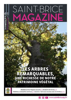 Saint Brice Magazine Novembre