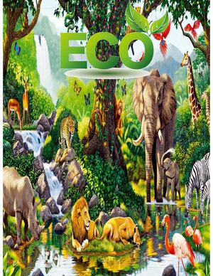 Revista Eco