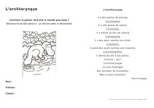 Séance Dictionnaire Sixième L'ornithorynque Fiche éLève