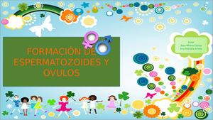 formación del espermatozoide y el óvulo