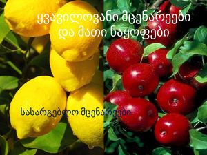 ყვავილოვანი მცენარეები და მათი ნაყოფი